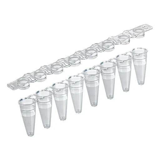 Barrettes PCR avec bouchons séparés