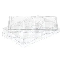Cell culture plate, 6 well, surface: BIOFLOAT™, flat base