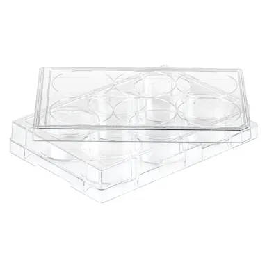Cell culture plate, 6 well, surface: BIOFLOAT™, flat base