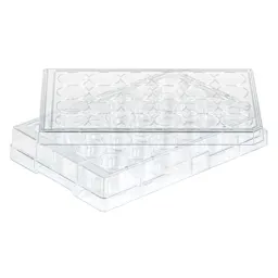 Cell culture plate, 24 well, surface: BIOFLOAT™, flat base