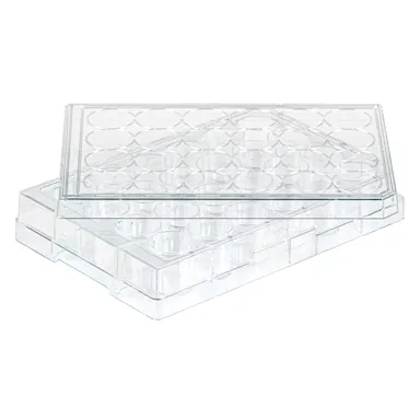 Cell culture plate, 24 well, surface: BIOFLOAT™, flat base