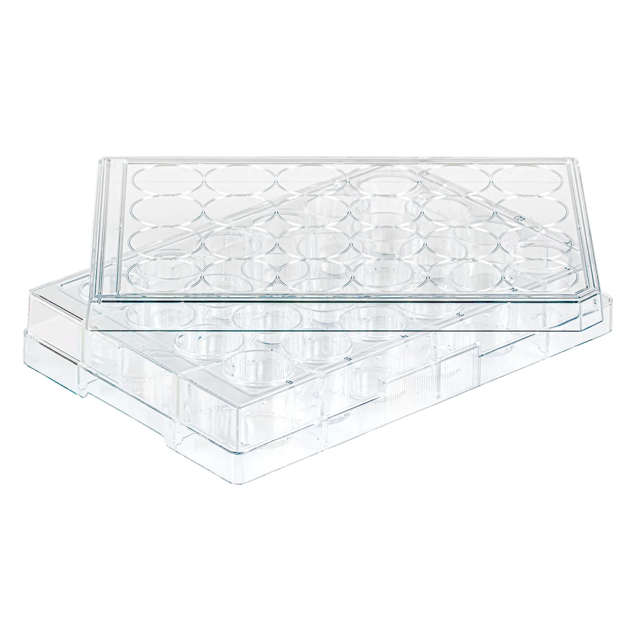Cell culture plate, 24 well, surface: BIOFLOAT™, flat base