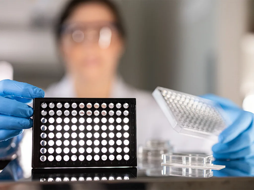 USE LS Zellkultur ZellenimFokus RS314142 1024x768