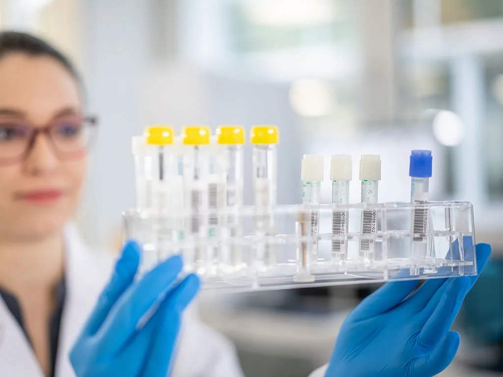 Intro-RS328726-1024x768