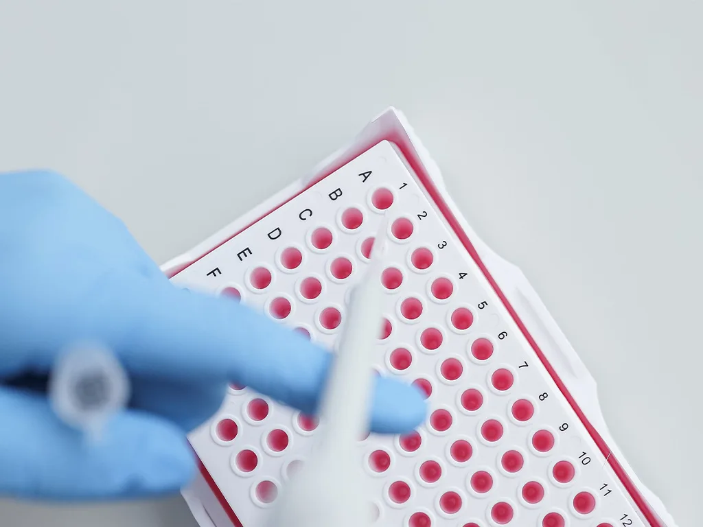 USE LS Molekularbiologie Tipps RS297678 1024x768