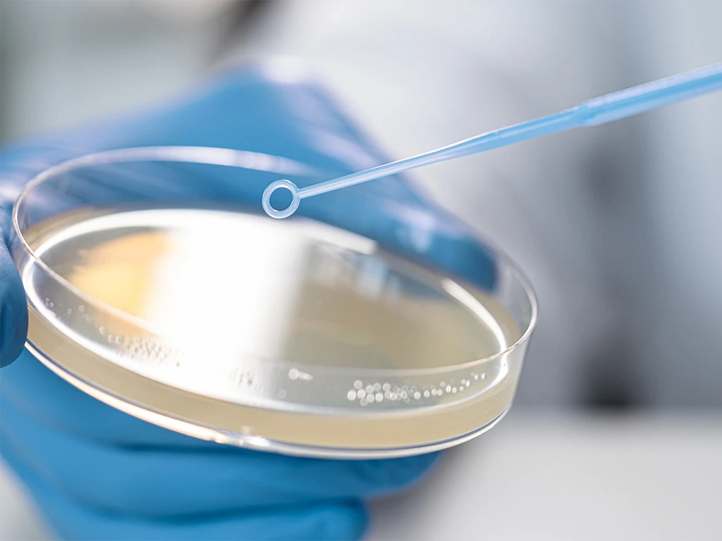 USE LS Mikrobiologie RS314345 1024x768
