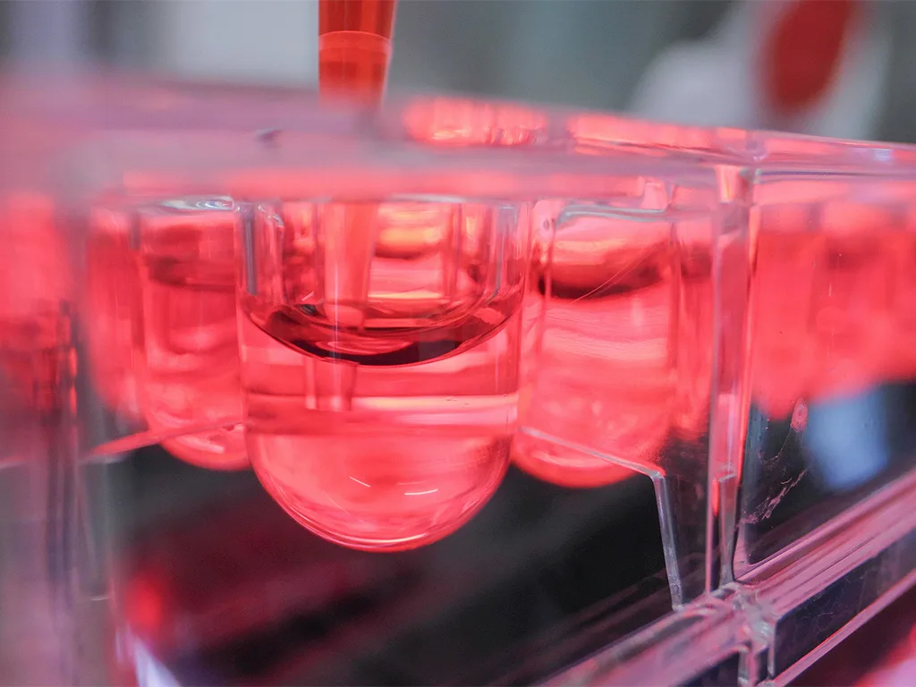 USE LS Zellkultur RS318326 BIOFLOATSarstedt 1024x768