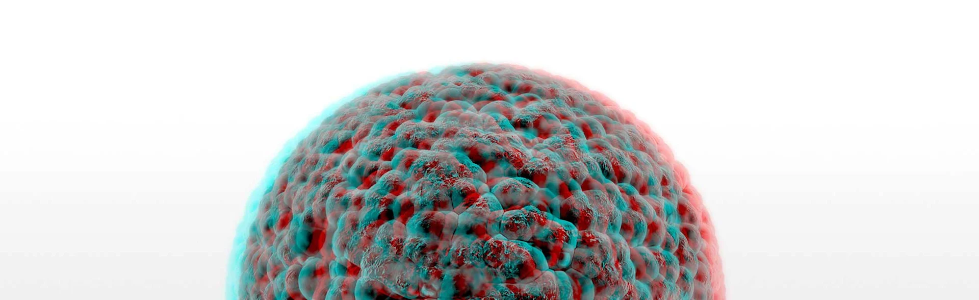 3D-Zellkulturen mit BIOFLOAT™ Zellkulturplatten _Header