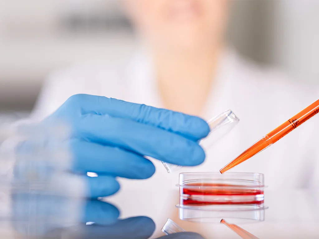 USE LS Zellkultur Kulturbedingungen RS311897 1024x768