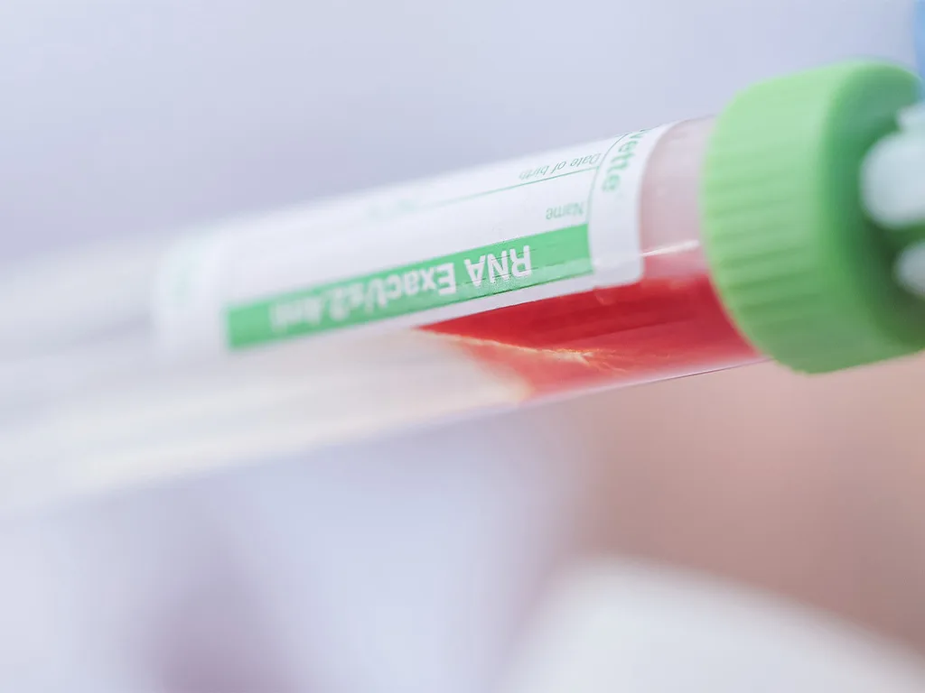 USE LS Molekularbiologie Einführung RS297646 1024x768