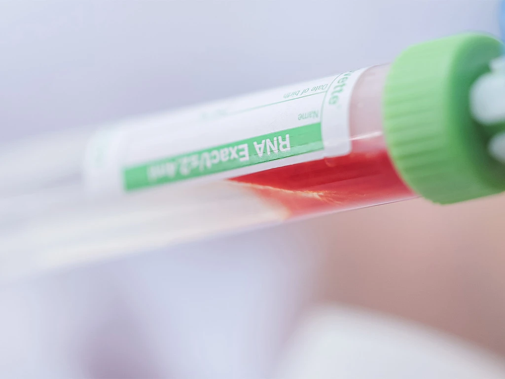 USE LS Molekularbiologie Einführung RS297646 1024x768