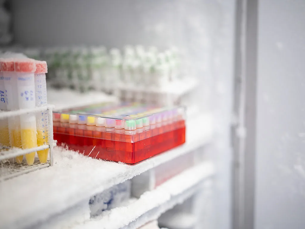 USE LS Probenhandling Rückstellung RS328761