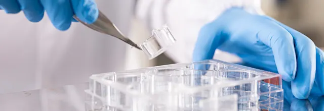 Cell culture inserts | SARSTEDT