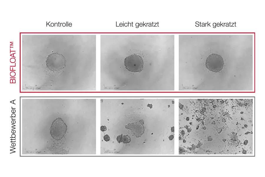 USE LS LP Biofloat robust kratzresistent 1024x768