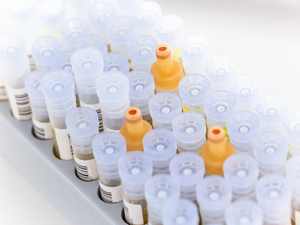 Handling-RS328419-1024x768