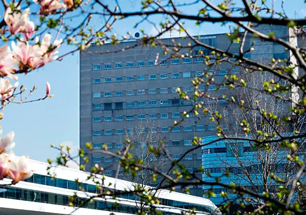 tempus600 landingpage v1 seite 1 bild 0019