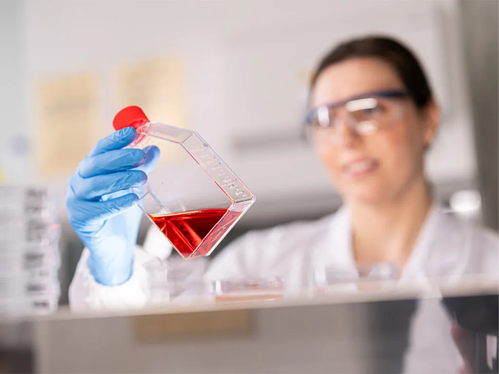 Zellkulturflasche 1024x768