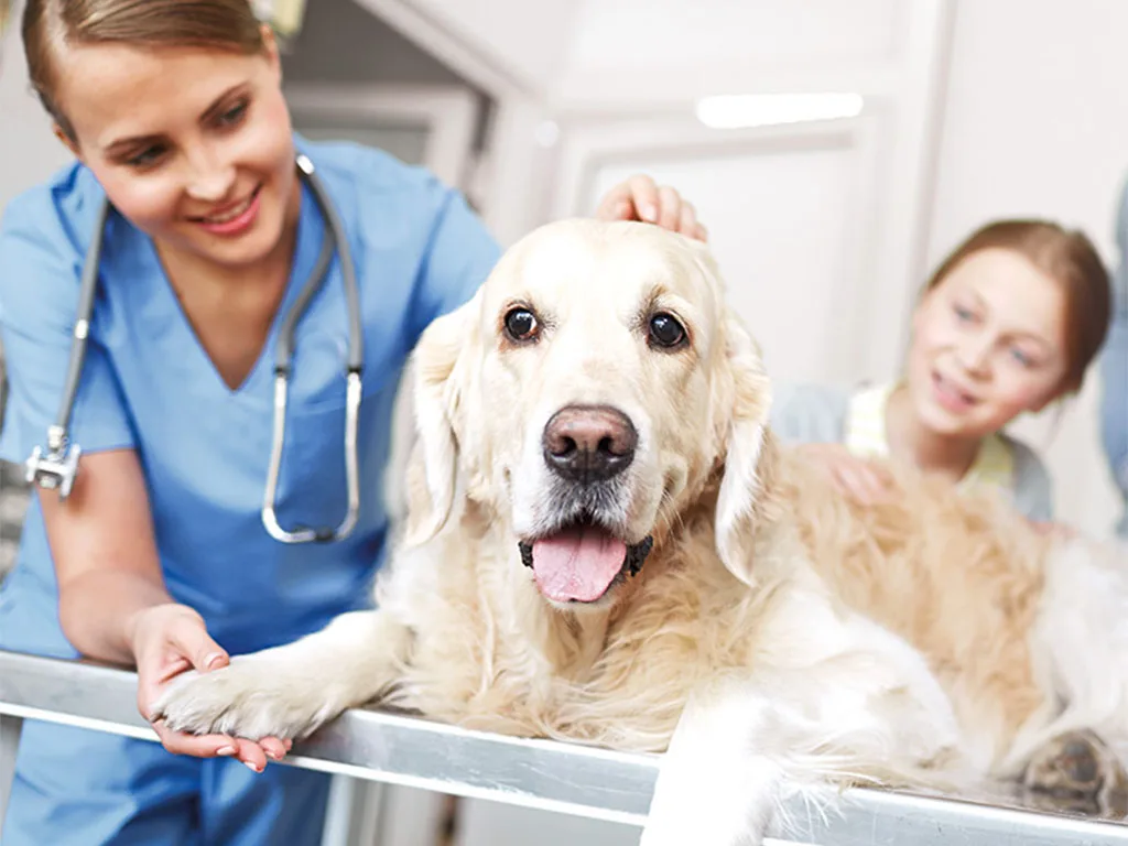 USE - VET - Tierisch schonend Landingpage - Präanalytik in der Veterinärmedizin