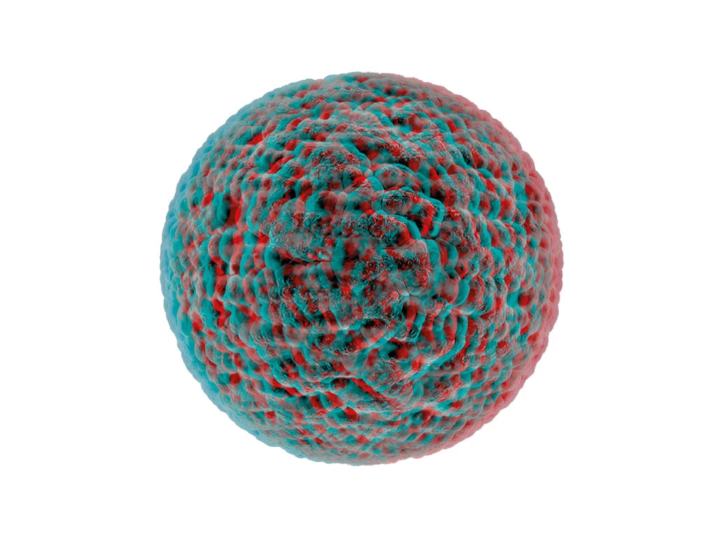biofloat kv