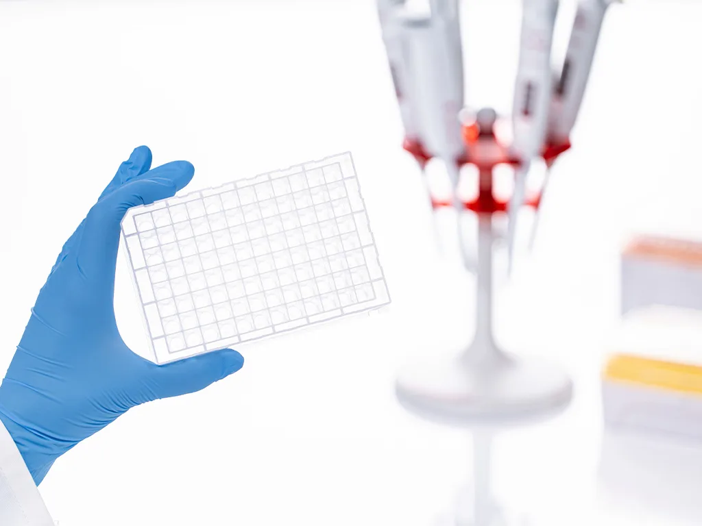 USE LS Molekurlarbiologie Techniken Anwendungen RS297696 1024x768