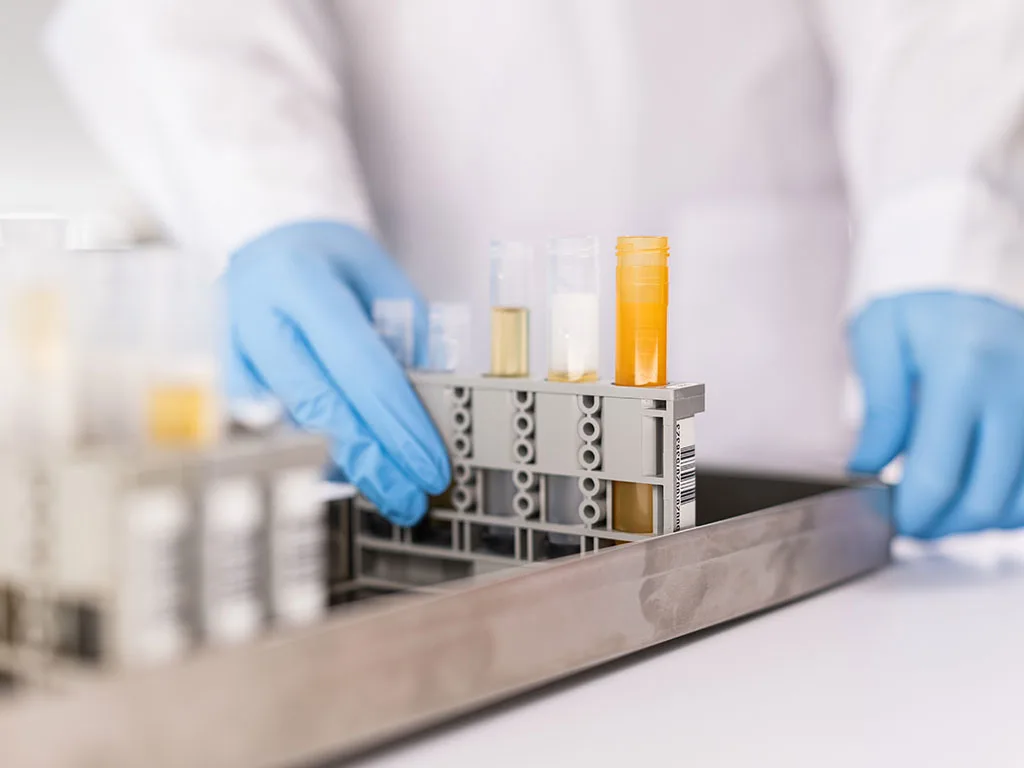 Types RS328412-1024x768