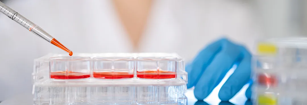 Cell culture plates for the laboratory | SARSTEDT