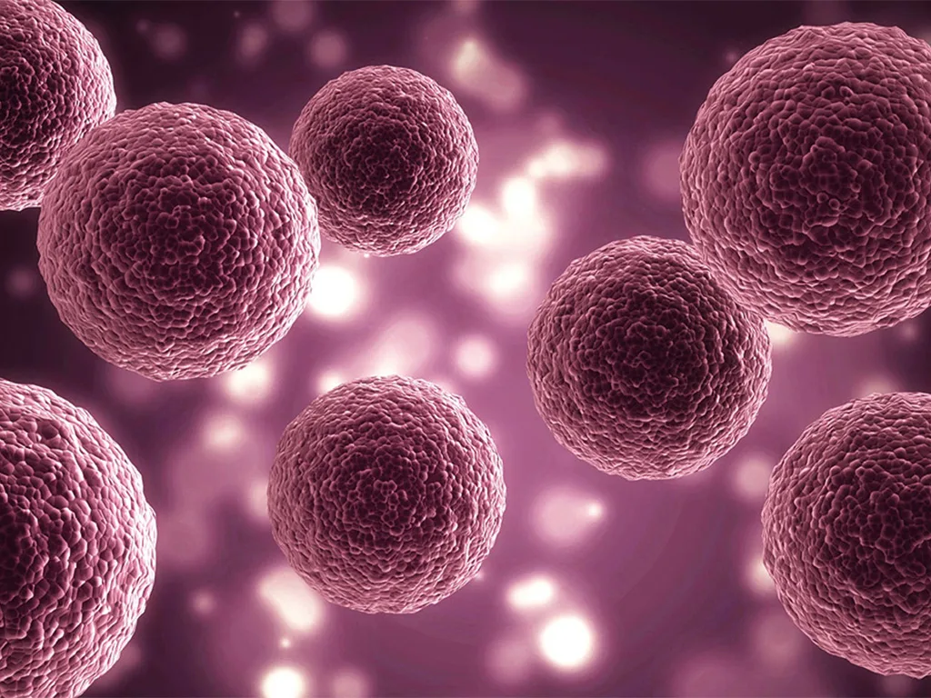 Zellkultur - Biofloat