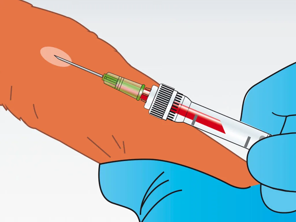 LP-AnimalHealthcare Particularly 1024x768