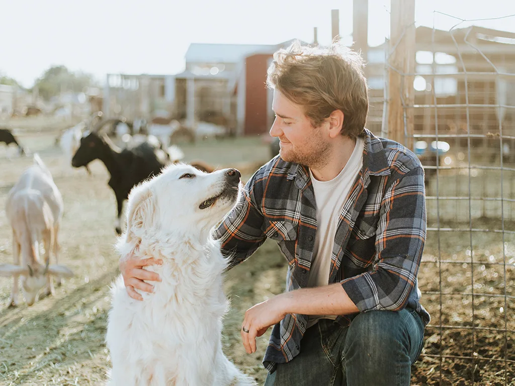 VET --- Präanalytik in VET-Medizin 1024x768