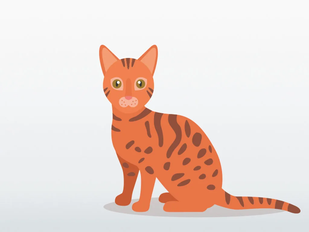 USE - VET - Tierisch schonend Landingpage - Entspannte Blutentnahme mit der Multivette® - Testimonial