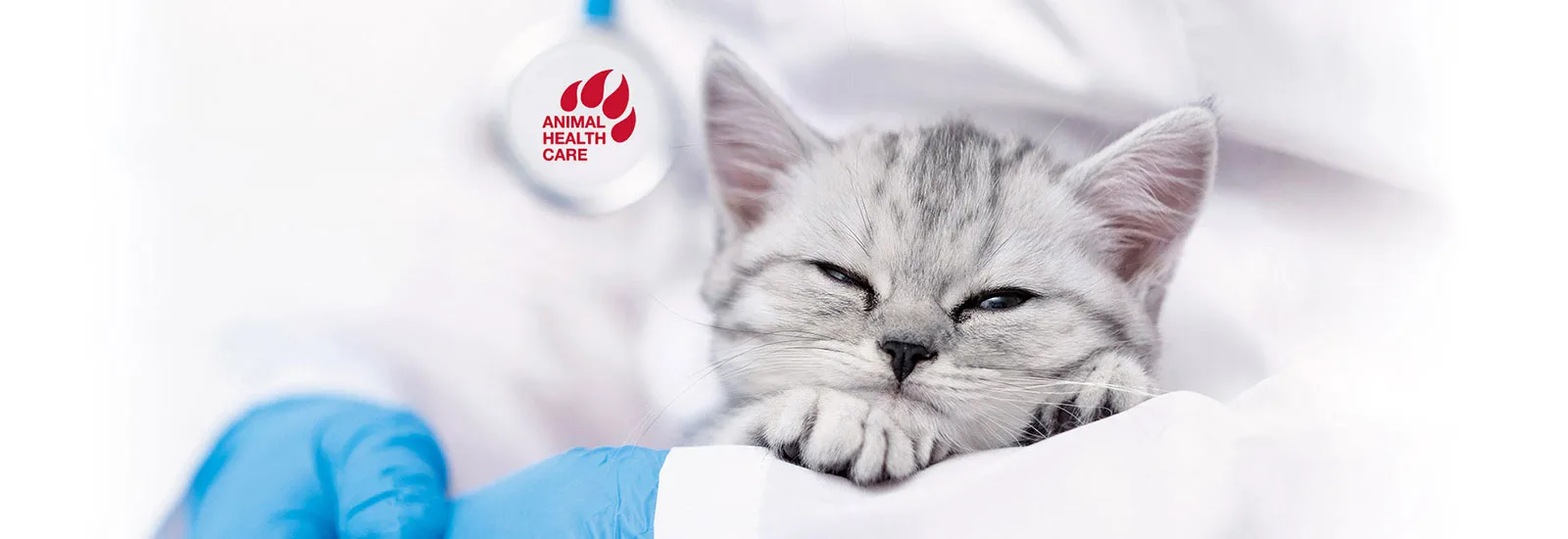 USE - VET - Tierisch schonend Header