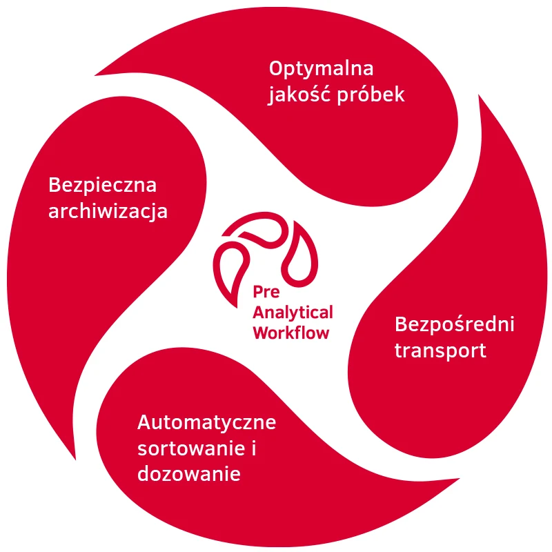 workflow pl (1)