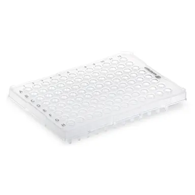 PCR plate half skirt, 96 well, transparent, High Profile, 200 µl, PCR Performance Tested, PP
