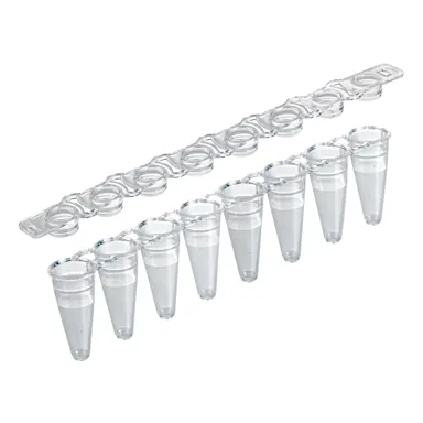 PCR strip of 8, 100 µl, PCR Performance Tested, transparent, PP, flat cap