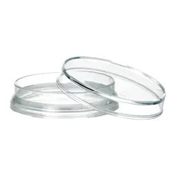 lumox® dish 50, Tissue culture dish, with foil base, Ø: 50 mm, Adherent cells