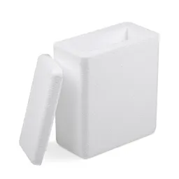 Polystyrene container, suitable as outer packaging for cool transport