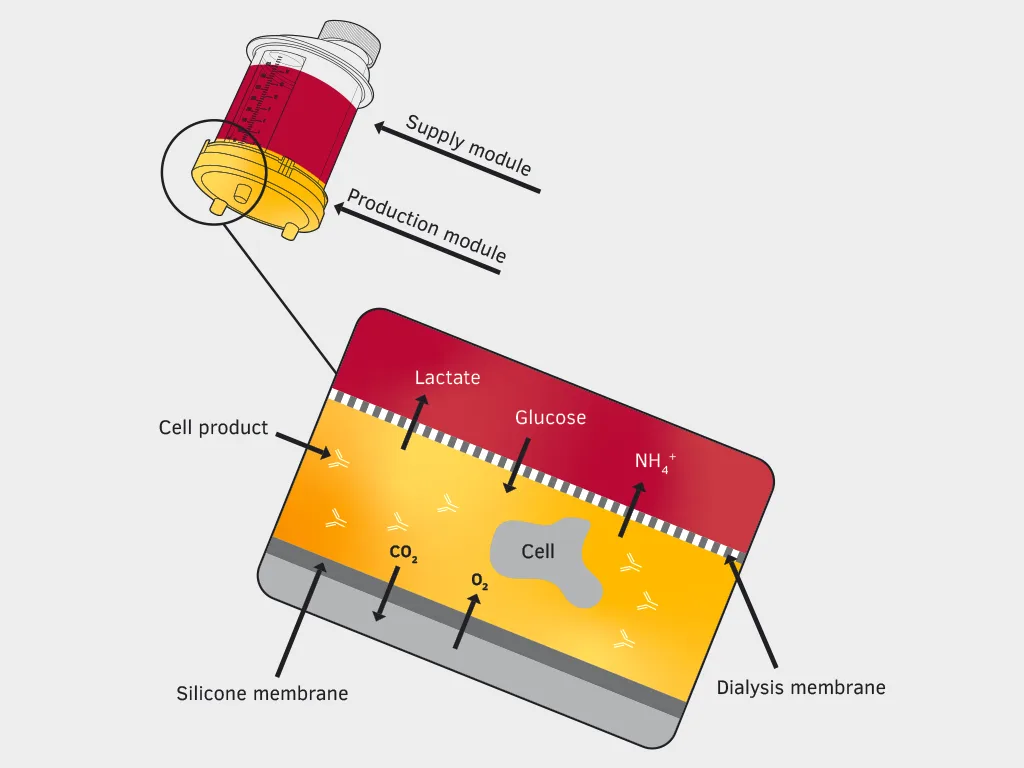 Zellkultur --- miniPERM Funktionsprinzip RU 768x1024