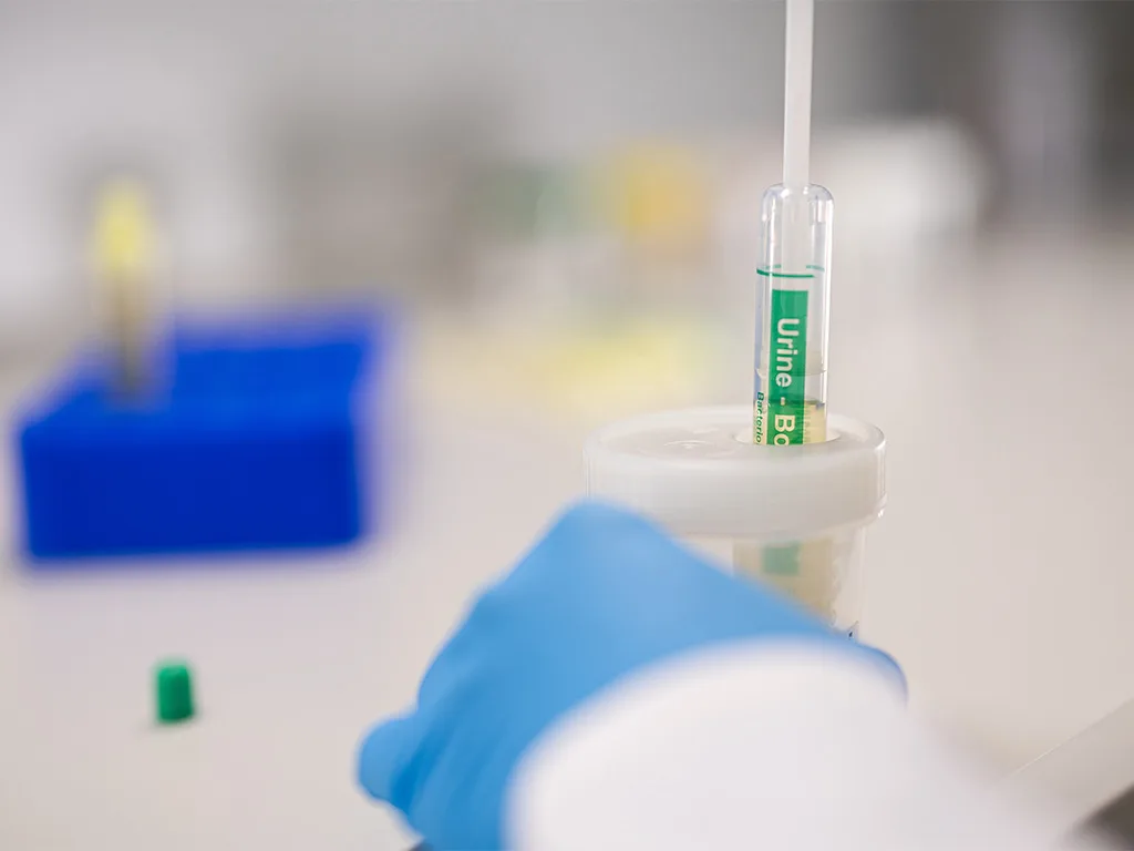 USE LS Mikrobiologie RS314034 1024x768