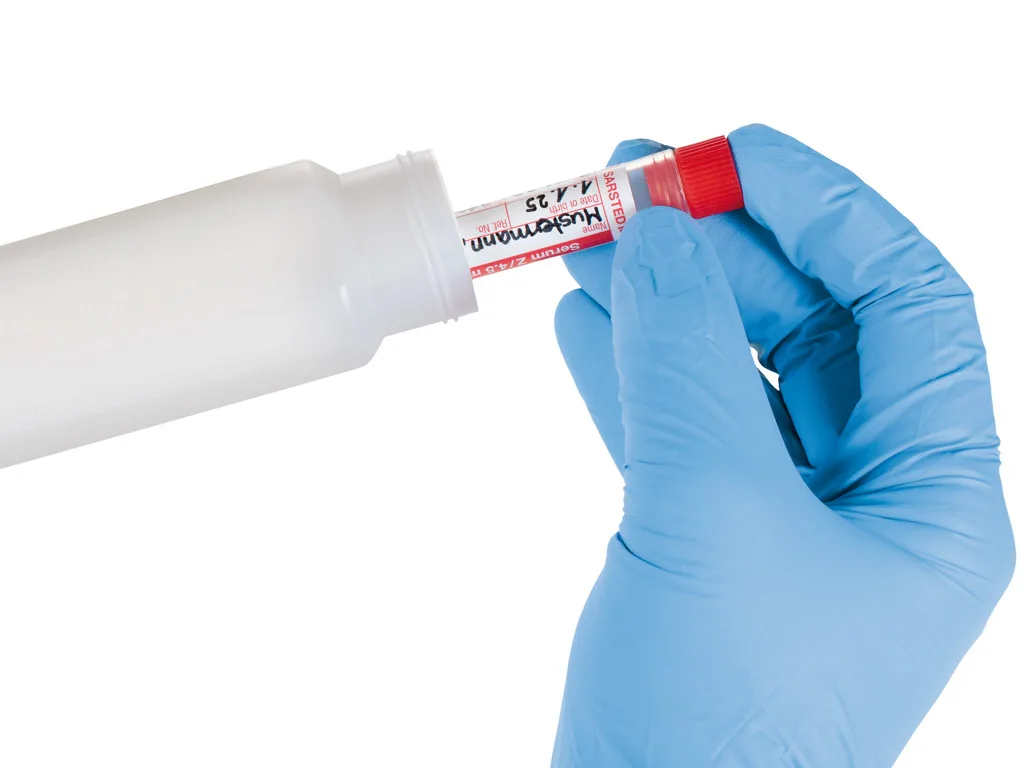 VET --- Transport 1024x768