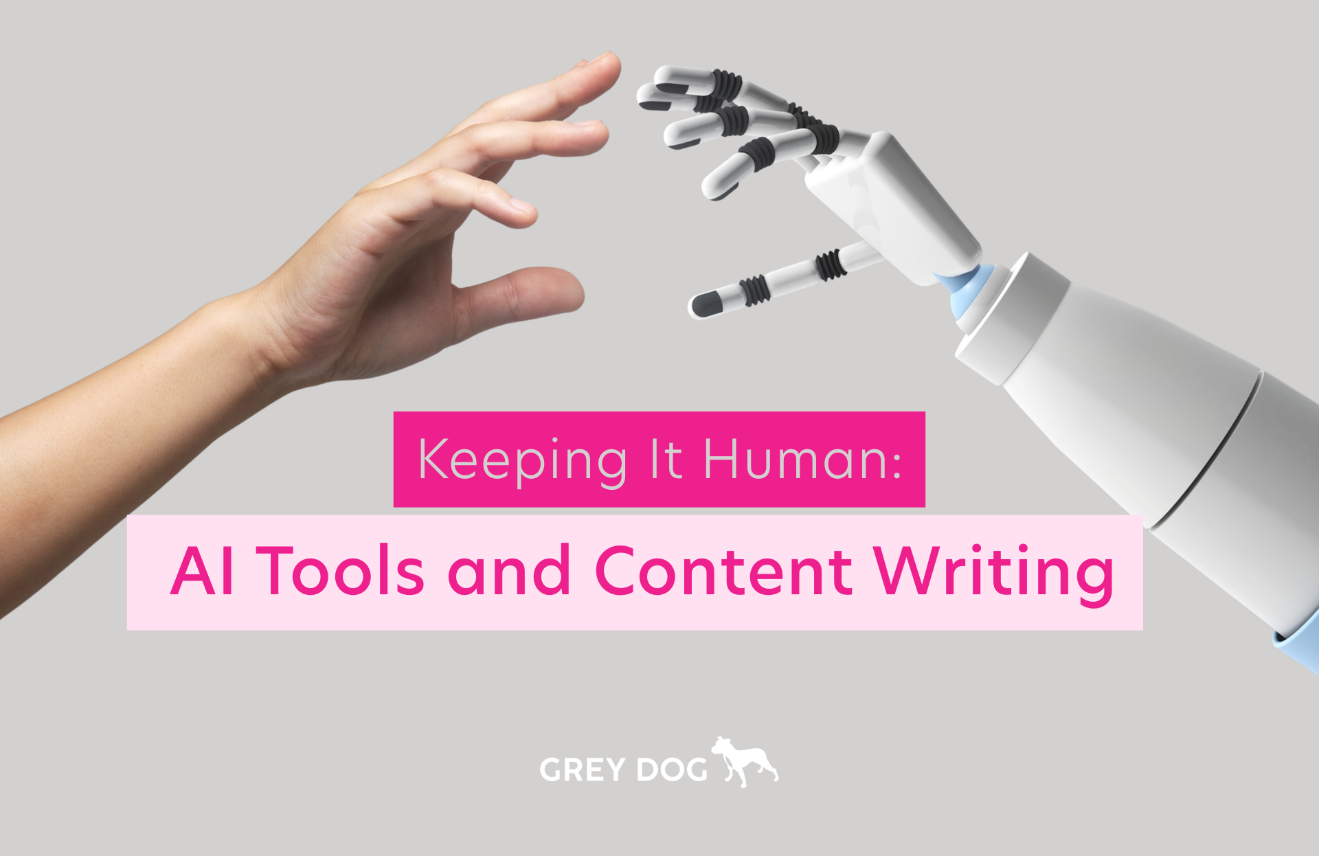 Content Writing in the Age of AI: Grey Dog’s Dos and Don’ts