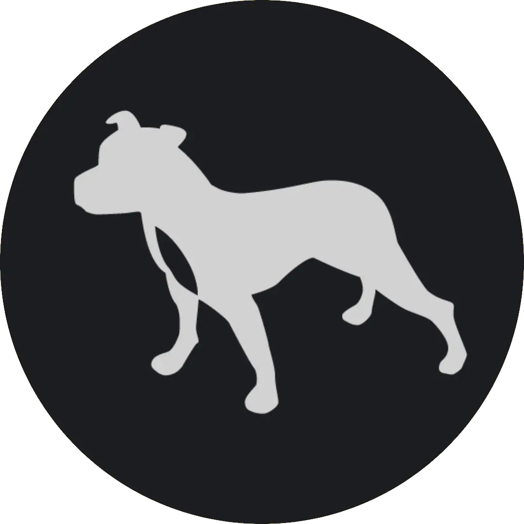 We Are Grey Dog