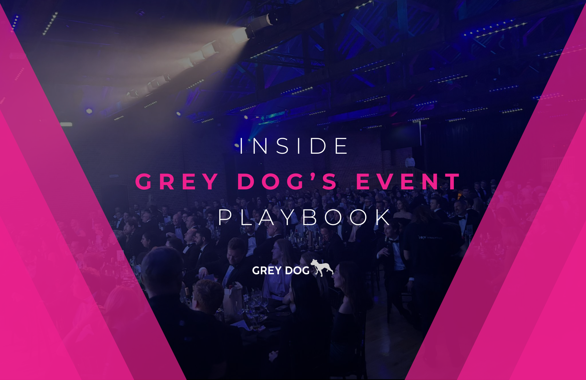 A Deep Dive into Grey Dog's Events Mastery 
