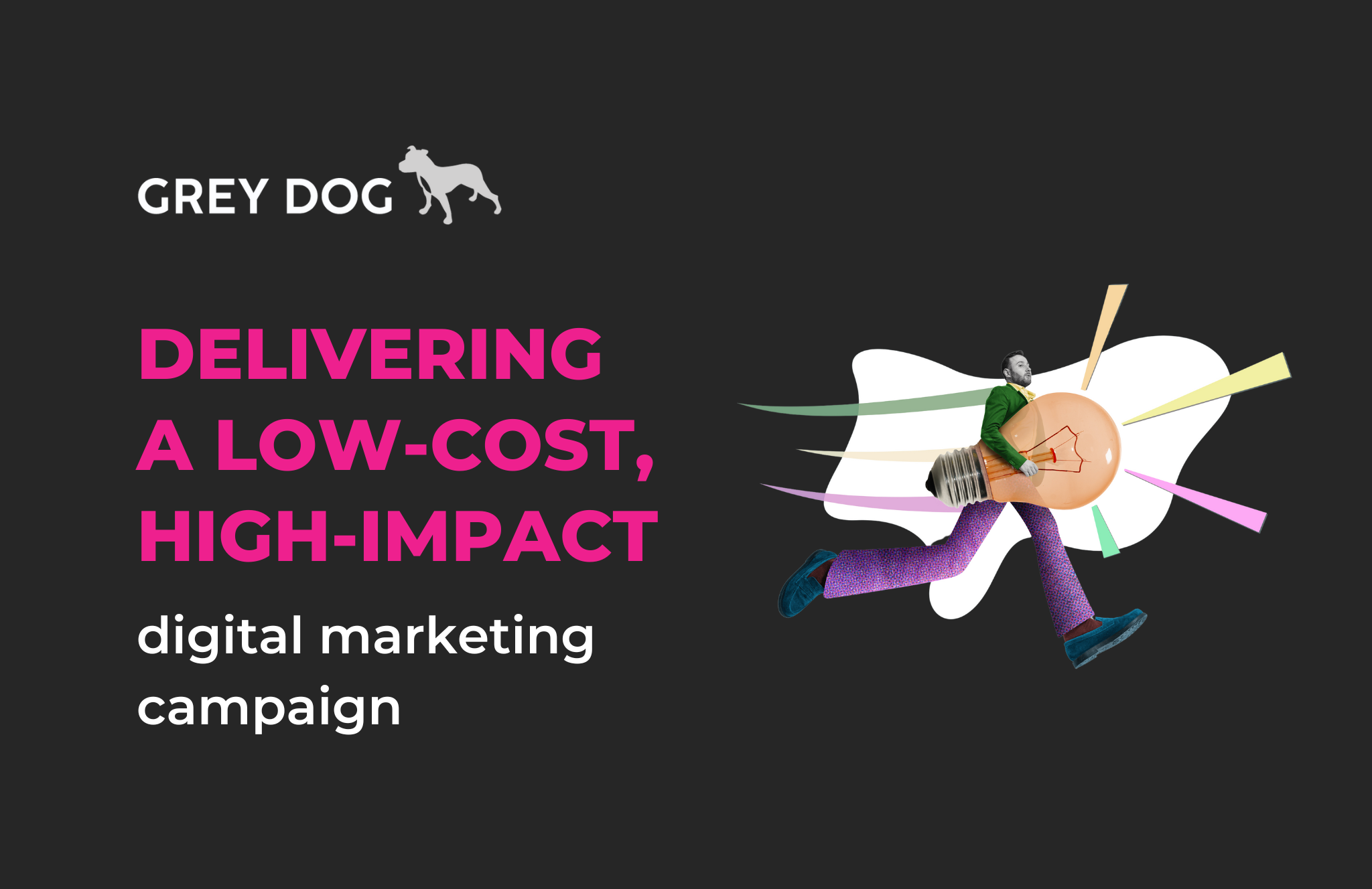 Delivering a Low-Cost, High-Impact Digital Marketing Campaign: A Case Study 