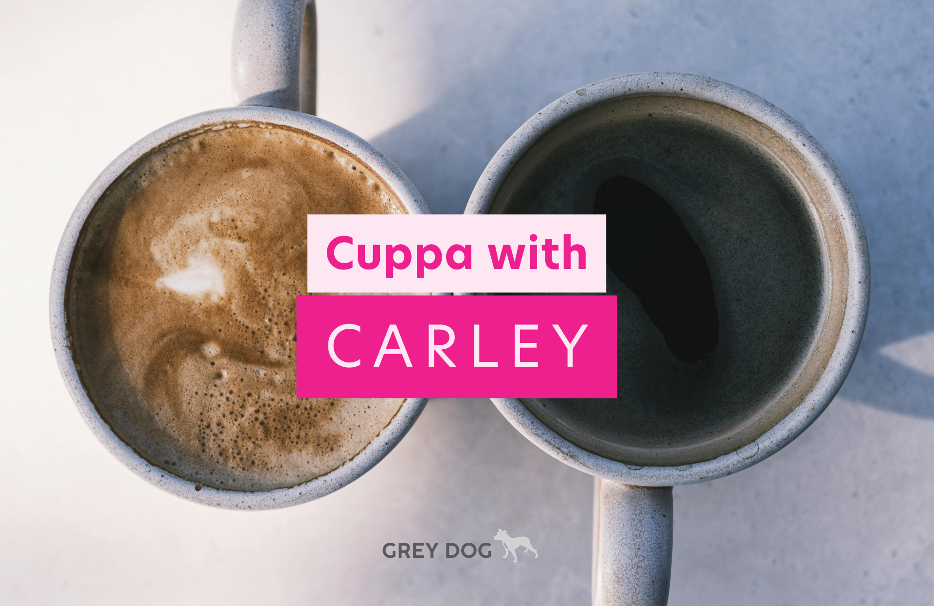 Cuppa with Carley: The Video Series