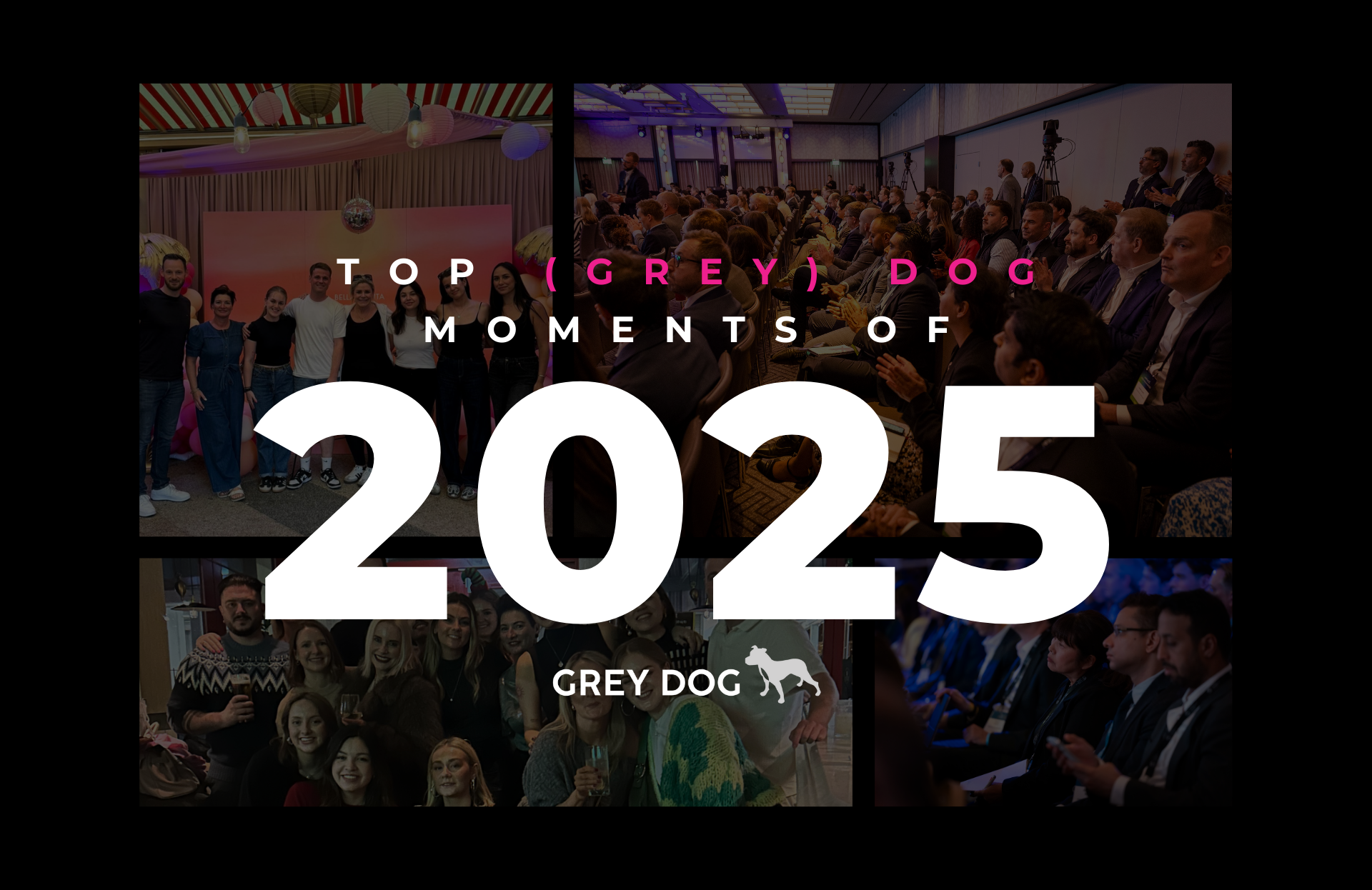 Grey Dog's 2025 in Review