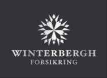 winterbergh_text_silver_greyscale.png