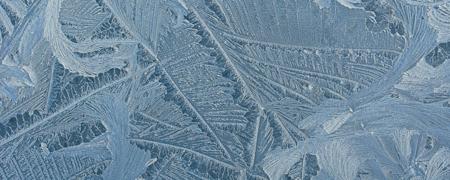 Frost