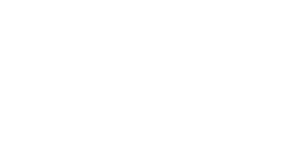 Turva