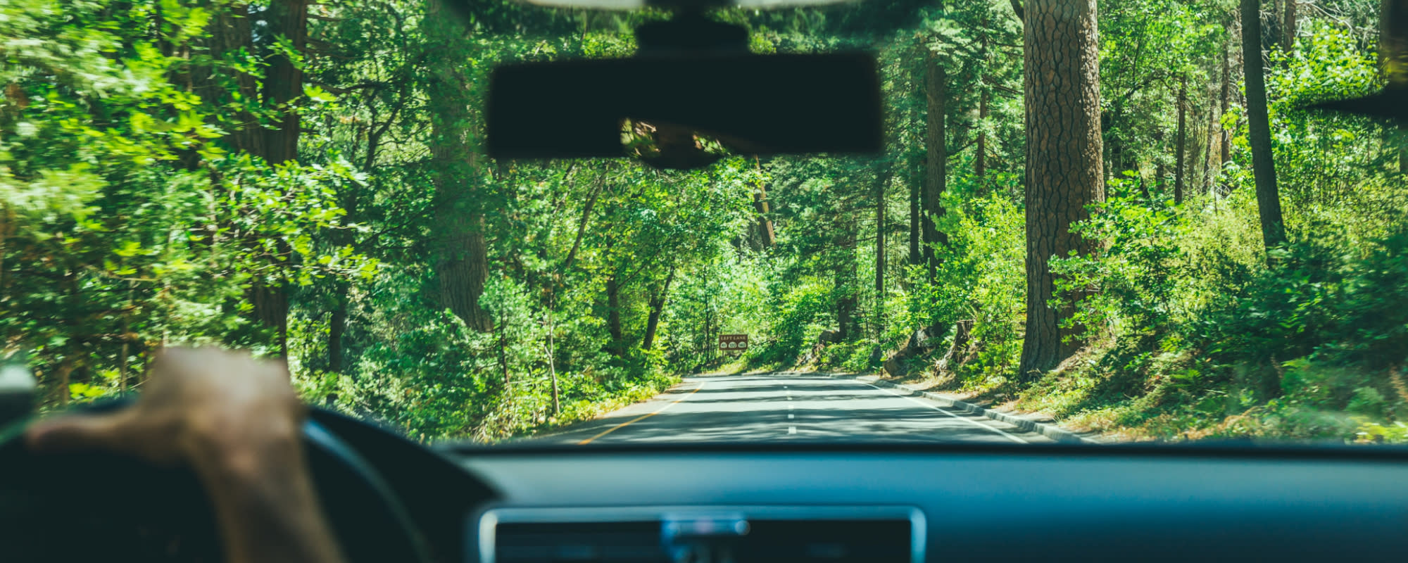 Hero-windscreen-lush-green-ride