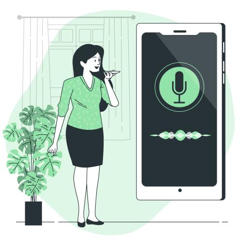 Voice User Interface (VUI)